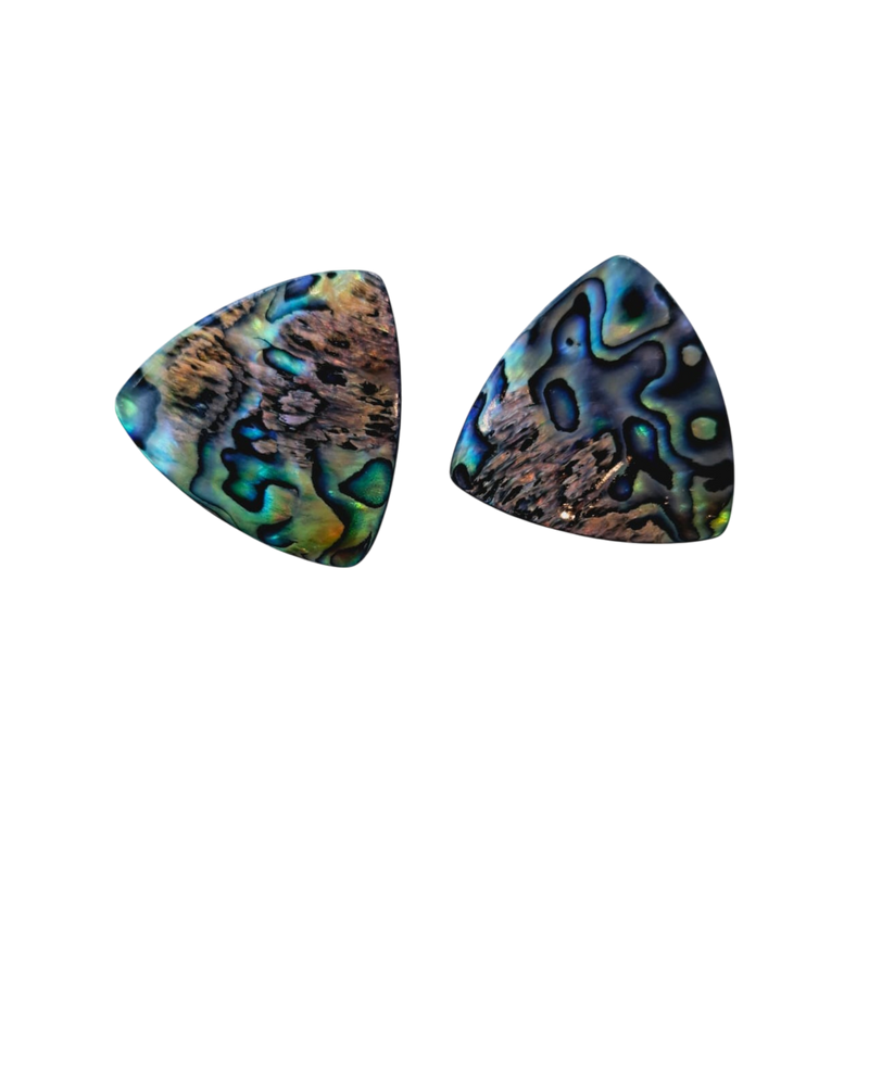Aretes concha de abulón