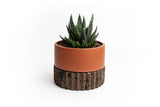 Tepalcate brown "Pot or clay pot" ZigZag