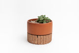 Tepalcate: Pot or clay vessel (pink Zig Zag)